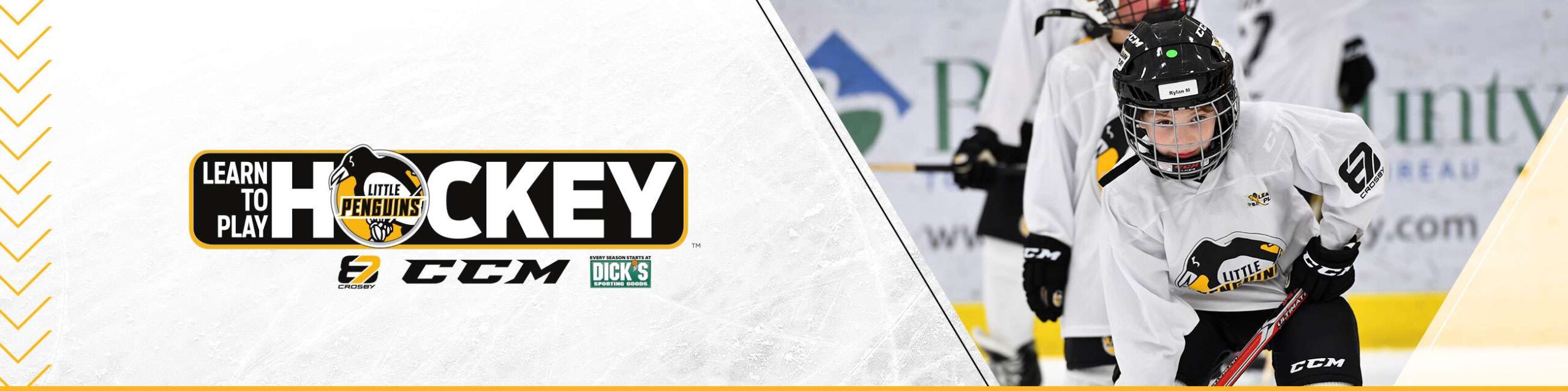 LTP Header Learn to Play Hockey
